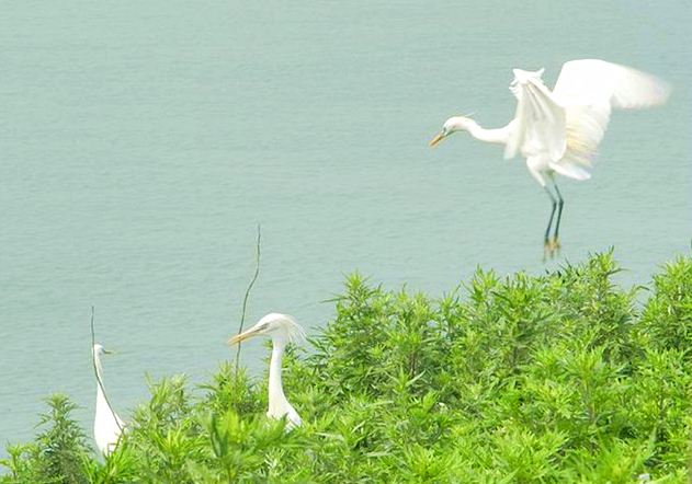 的海岸线一路行驶,穿过田野,林间,海岛的蓝天,绿地,碧水,黄沙和茂林